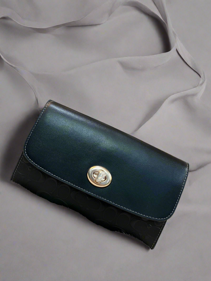 Coach Chain Crossbody in Signature Leather