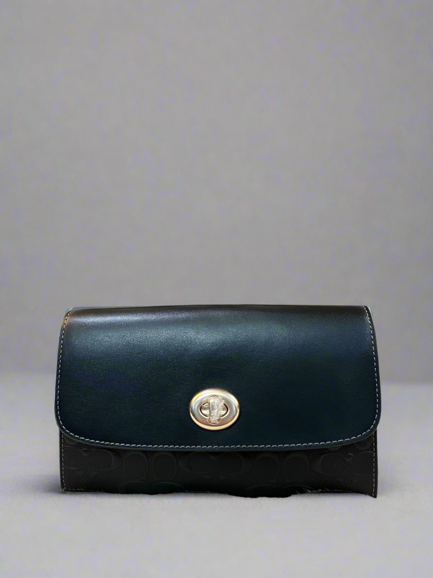 Coach Chain Crossbody in Signature Leather