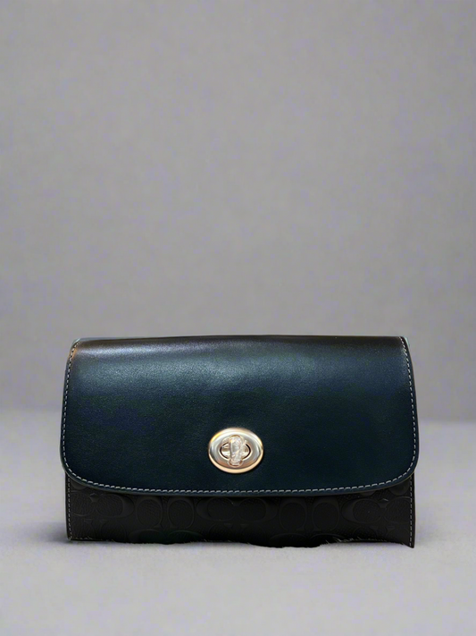 Coach Chain Crossbody in Signature Leather
